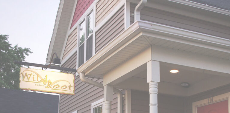 Wild Root Salon 768x379